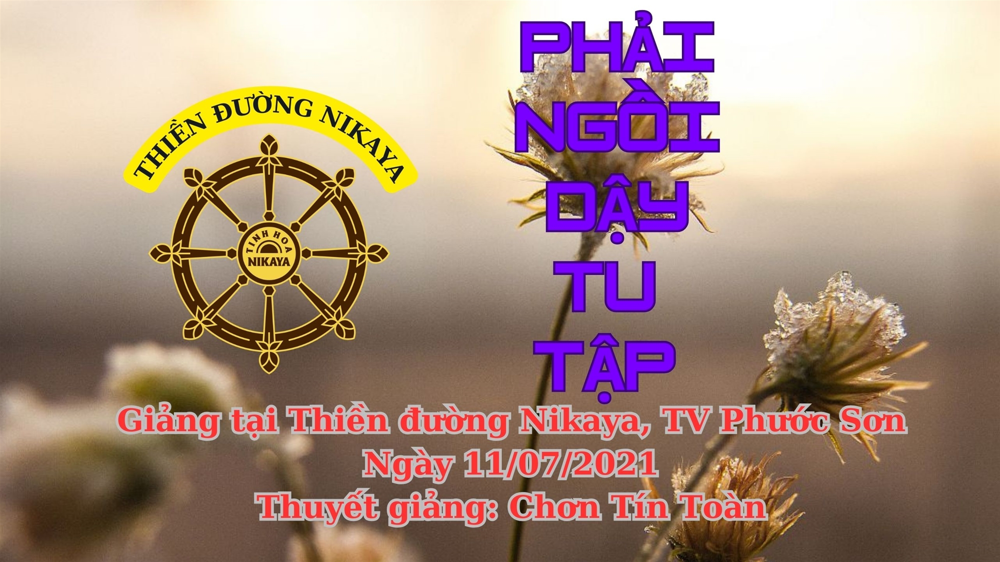 142_ PHẢI NGỒI DẬY TU TẬP_ CHƠN TÍN TOÀN