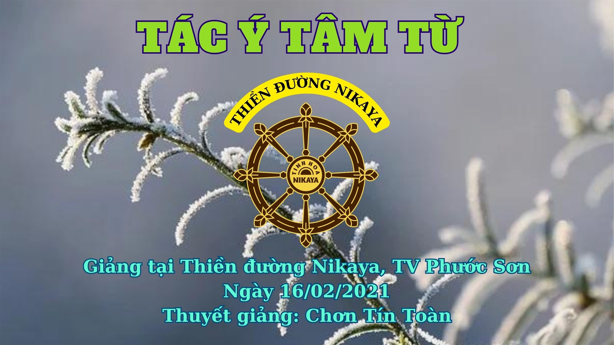 263_ TÁC Ý TÂM TỪ_ CHƠN TÍN TOÀN