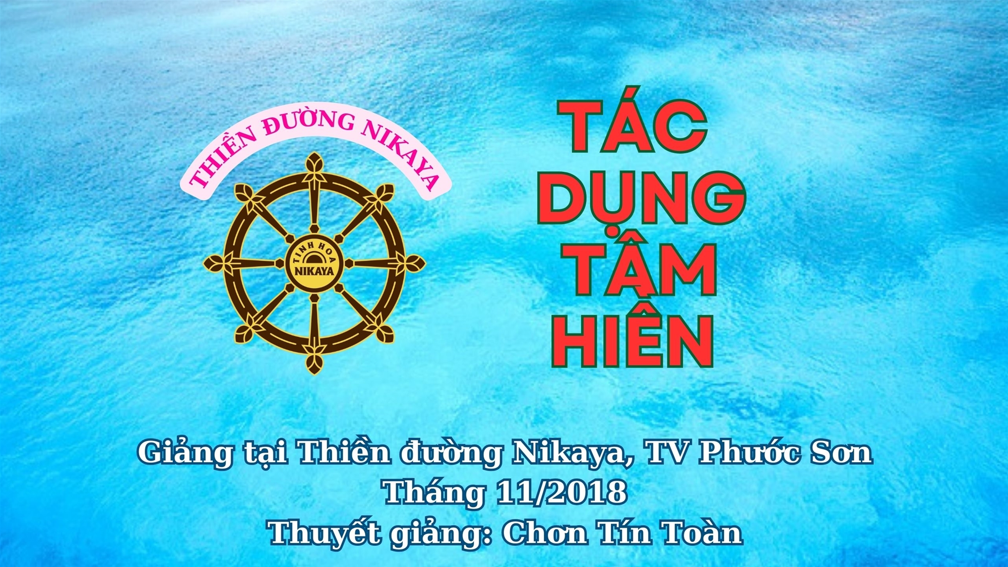 229_ TÁC DỤNG TÂM HIỀN_ CHƠN TÍN TOÀN