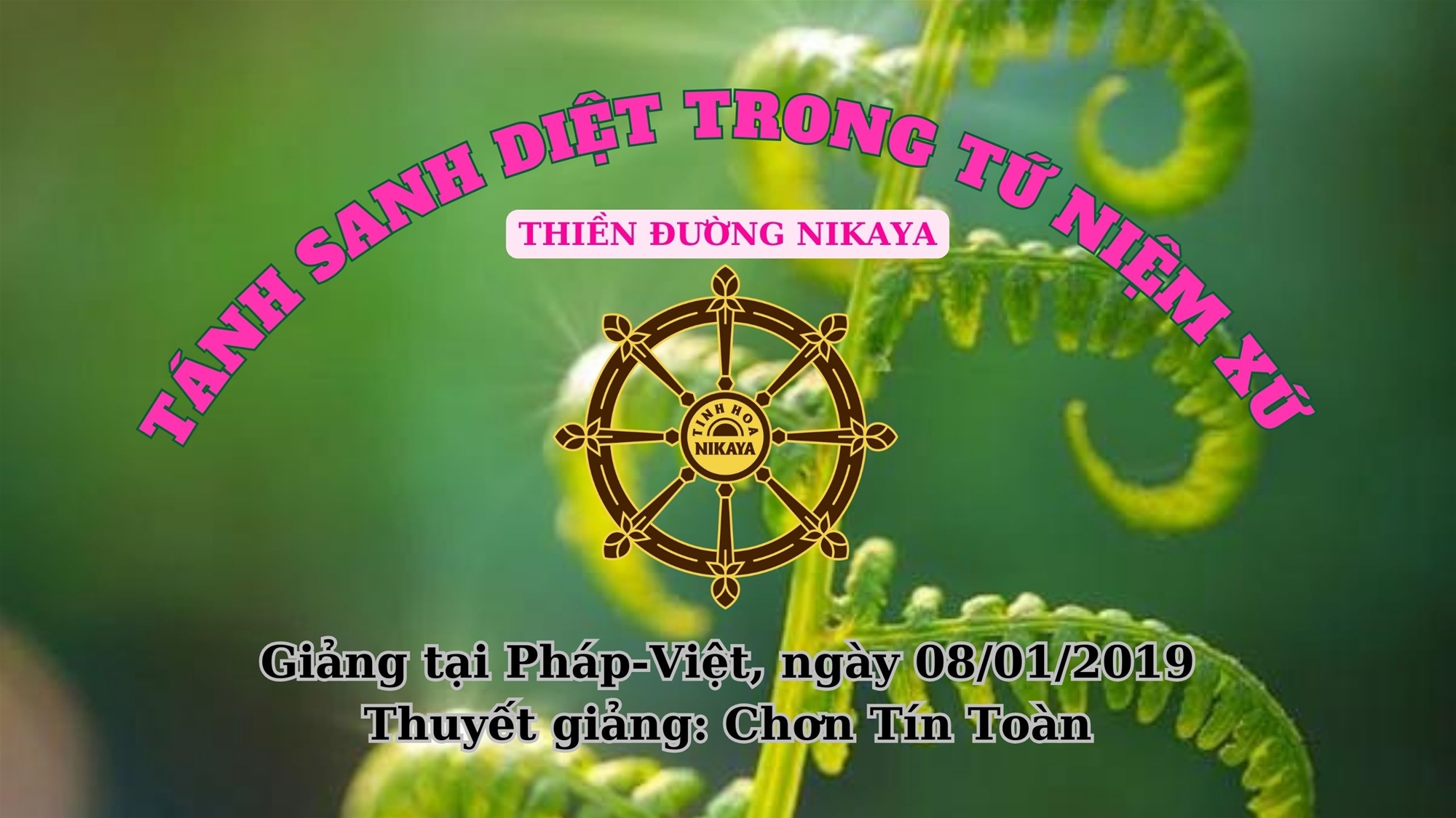 250_ TÁNH SANH DIỆT TRONG TỨ NIỆM XỨ_ CHƠN TÍN TOÀN