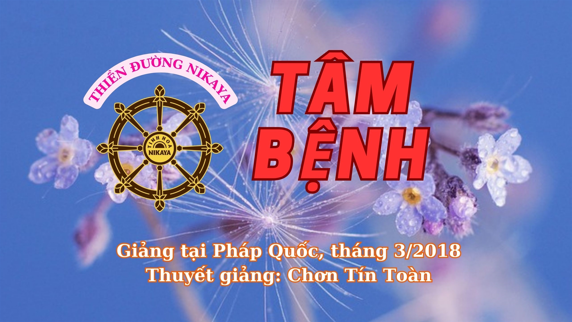 238_ TÂM BỆNH_ CHƠN TÍN TOÀN