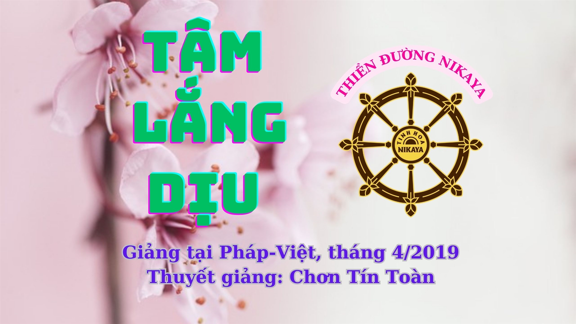 236_ TÂM LẮNG DỊU_ CHƠN TÍN TOÀN