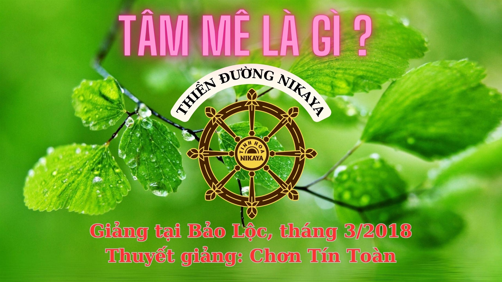 34_ TÂM MÊ LÀ GÌ_ CHƠN TÍN TOÀN