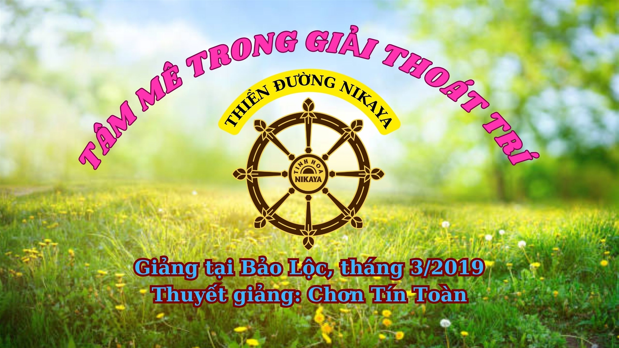 66_ TÂM MÊ TRONG GIẢI THOÁT TRÍ_ CHƠN TÍN TOÀN