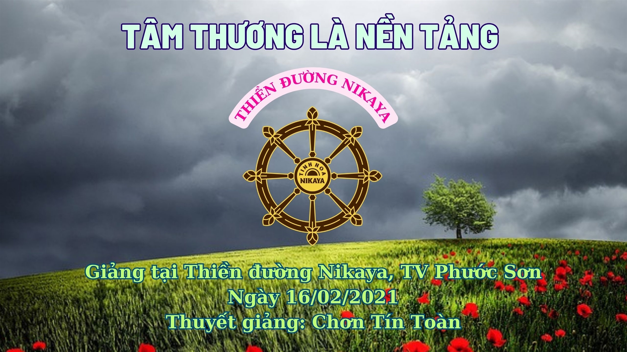 230_ TÂM THƯƠNG LÀ NỀN TẢNG_ CHƠN TÍN TOÀN