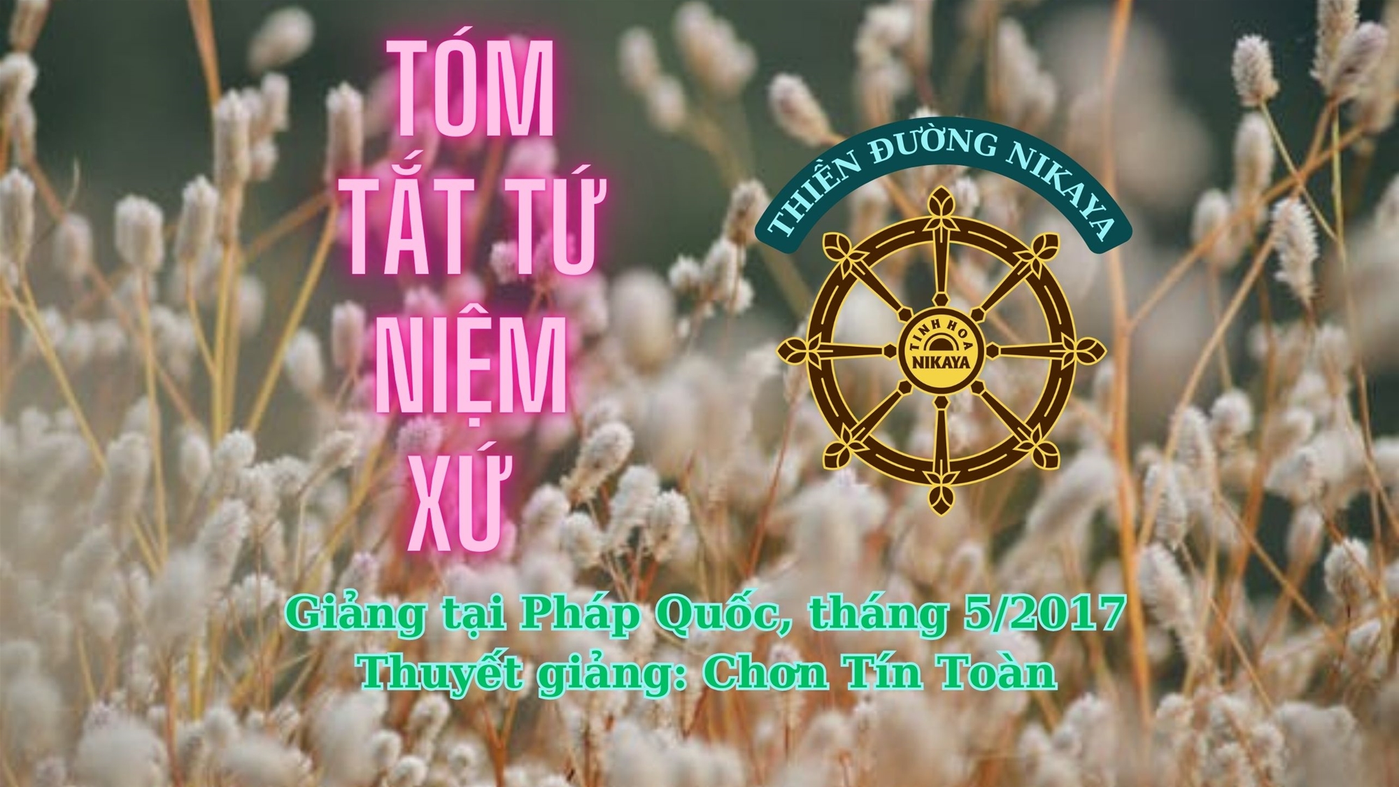 251_ TÓM TẮT TỨ NIỆM XỨ_ CHƠN TÍN TOÀN