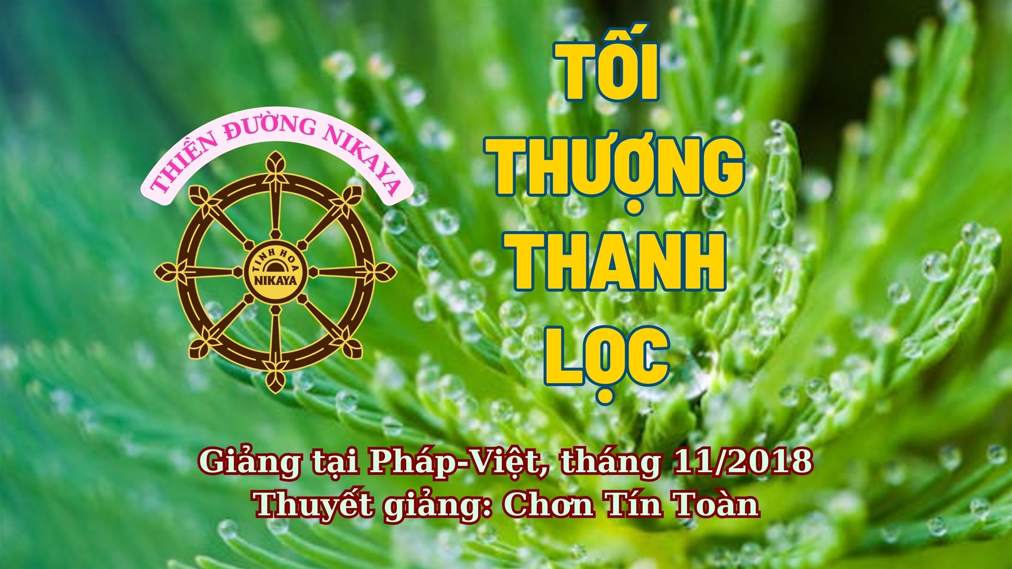 184_ TỐI THƯỢNG THANH LỌC_ CHƠN TÍN TOÀN