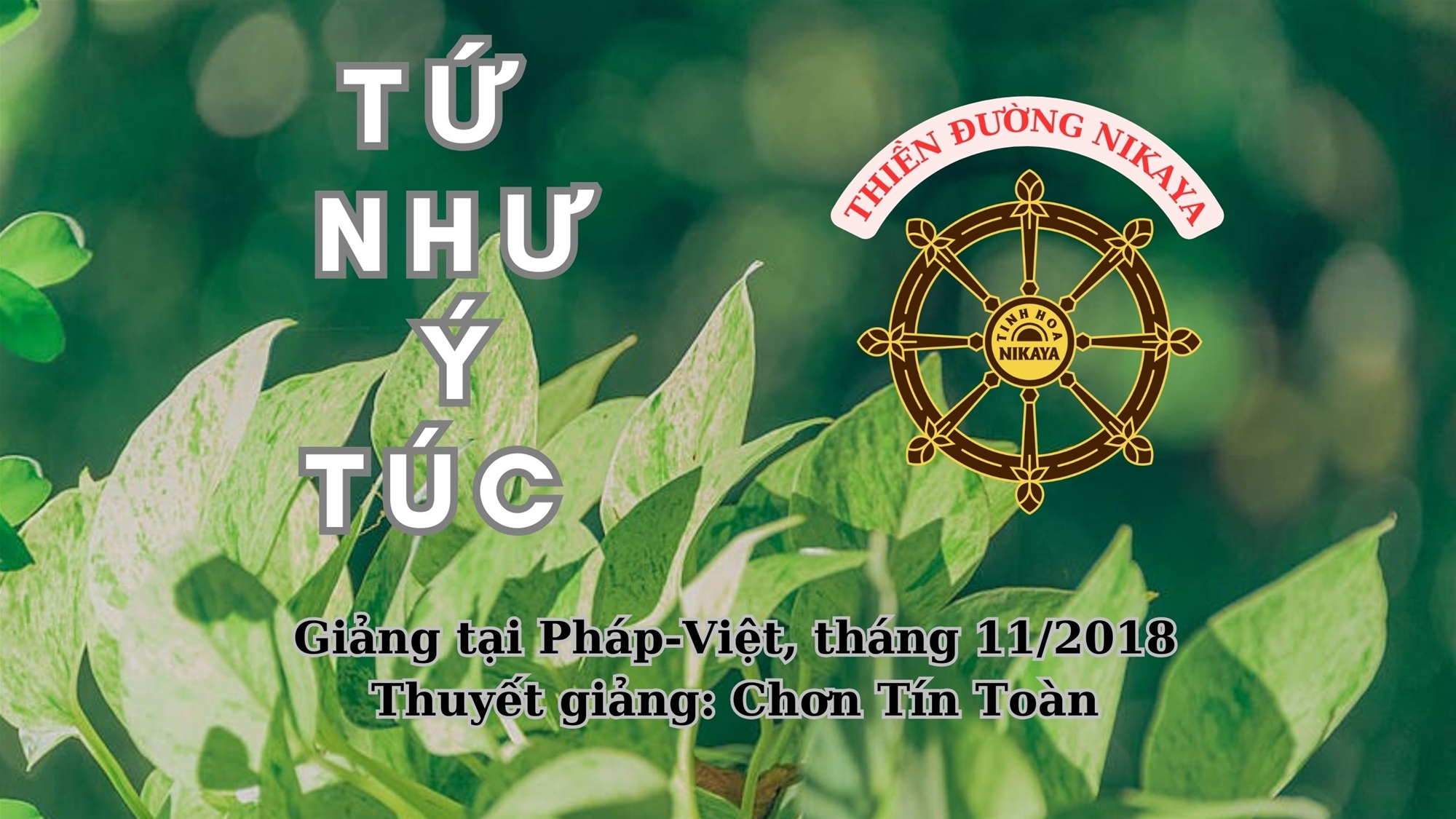 248_ TỨ NHƯ Ý TÚC_ CHƠN TÍN TOÀN