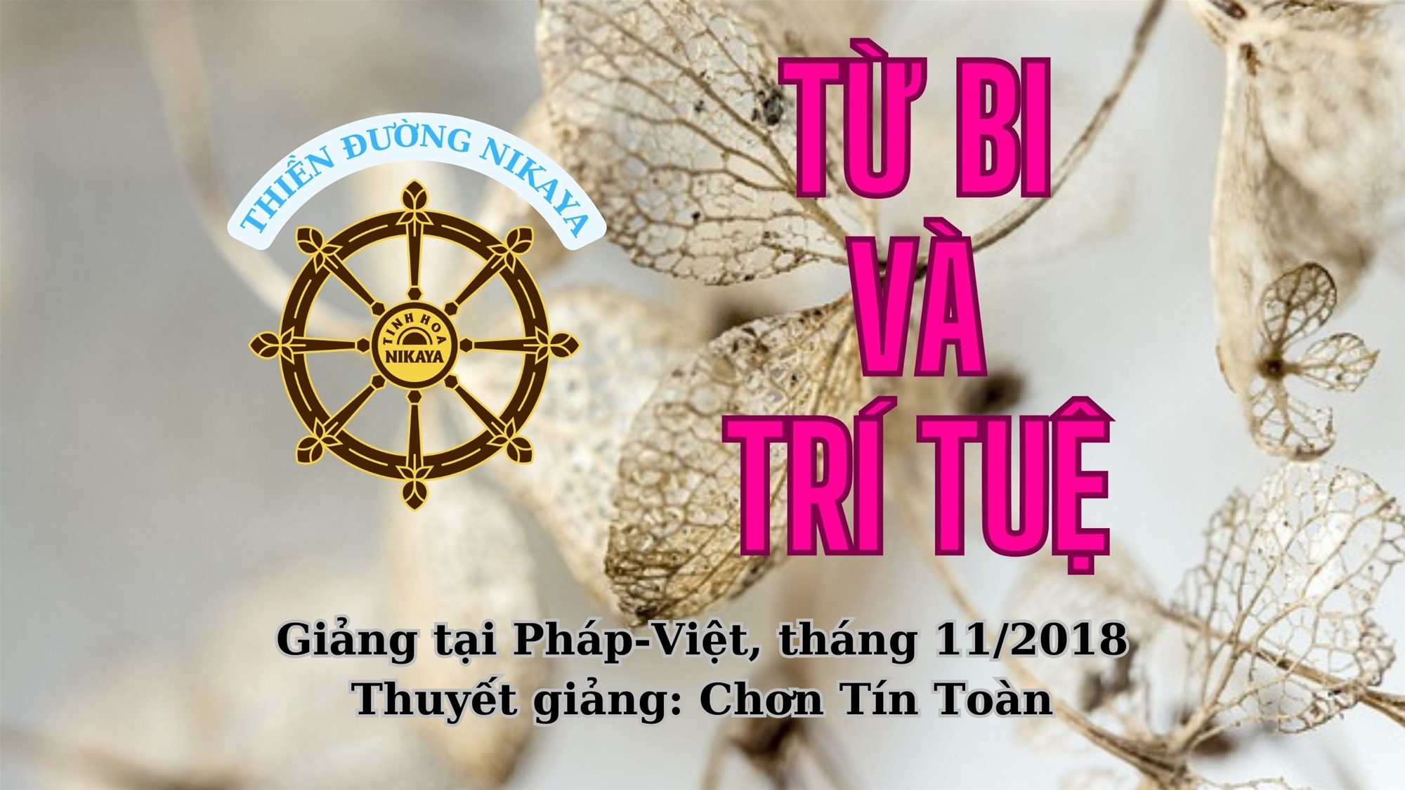 257_ TỪ BI VÀ TRÍ TUỆ_ CHƠN TÍN TOÀN