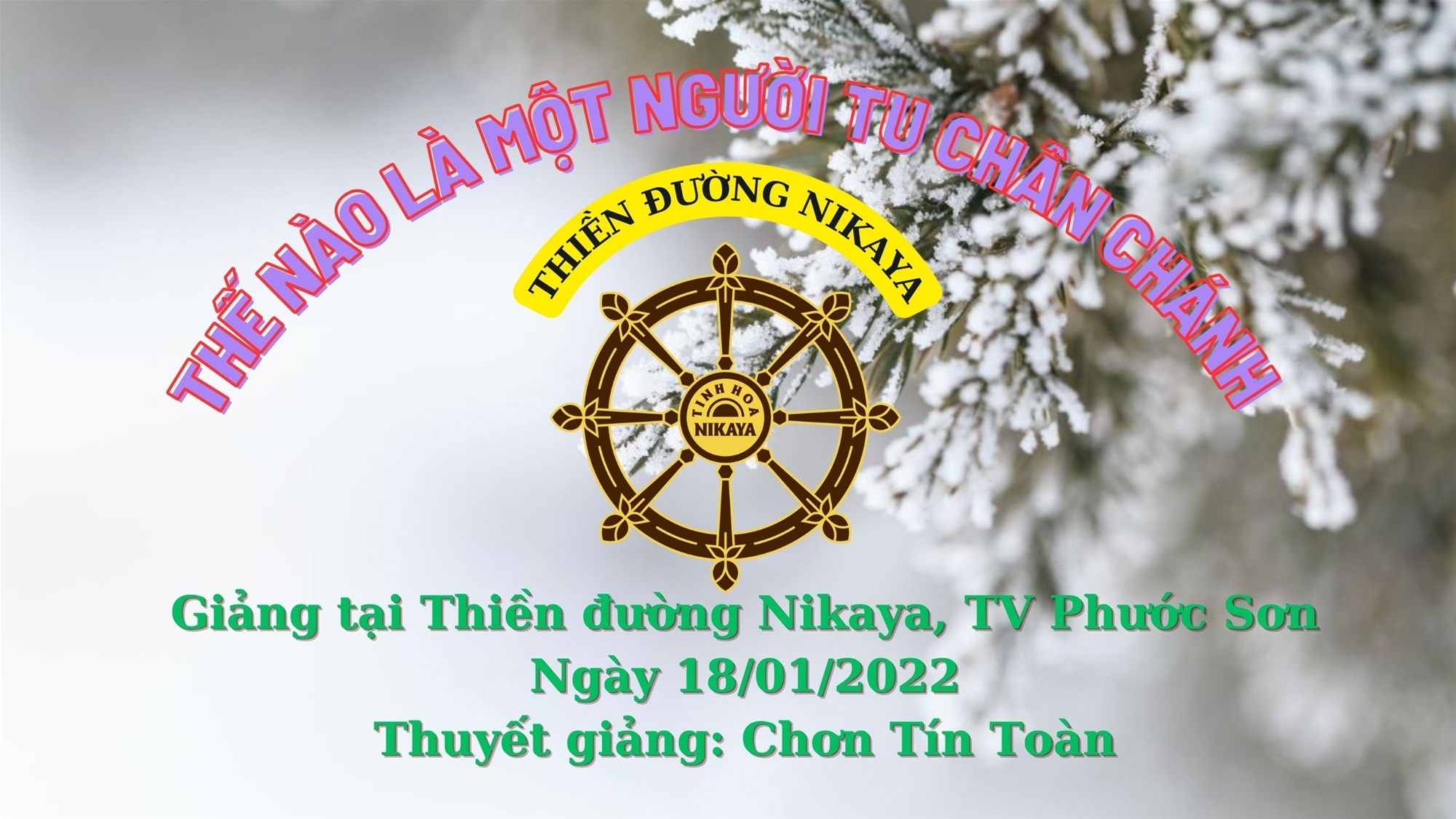 141_ THẾ NÀO LÀ MỘT NGƯỜI TU CHÂN CHÁNH_ CHƠN TÍN TOÀN