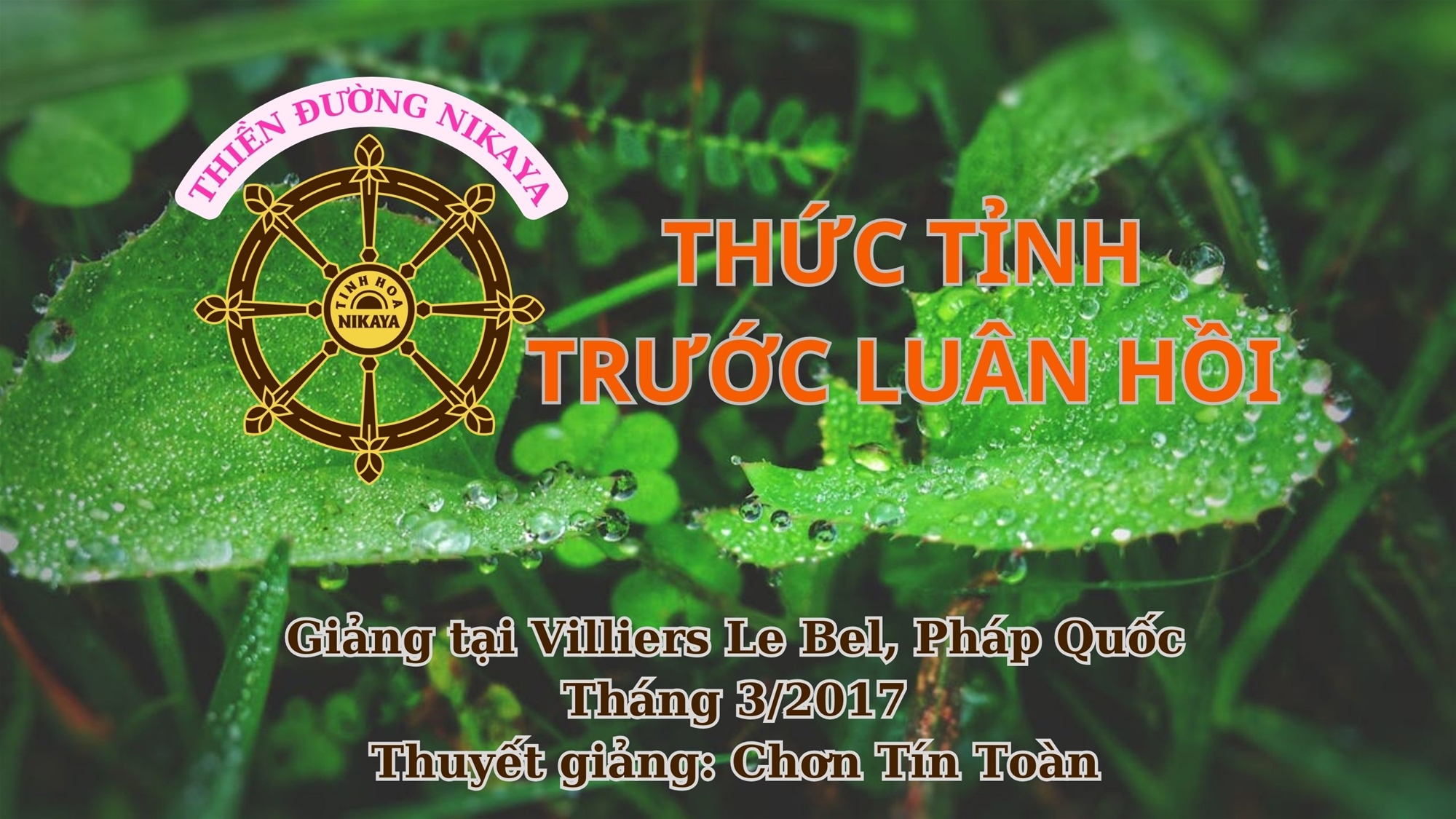 187_ THỨC TỈNH TRƯỚC LUÂN HỒI_ CHƠN TÍN TOÀN