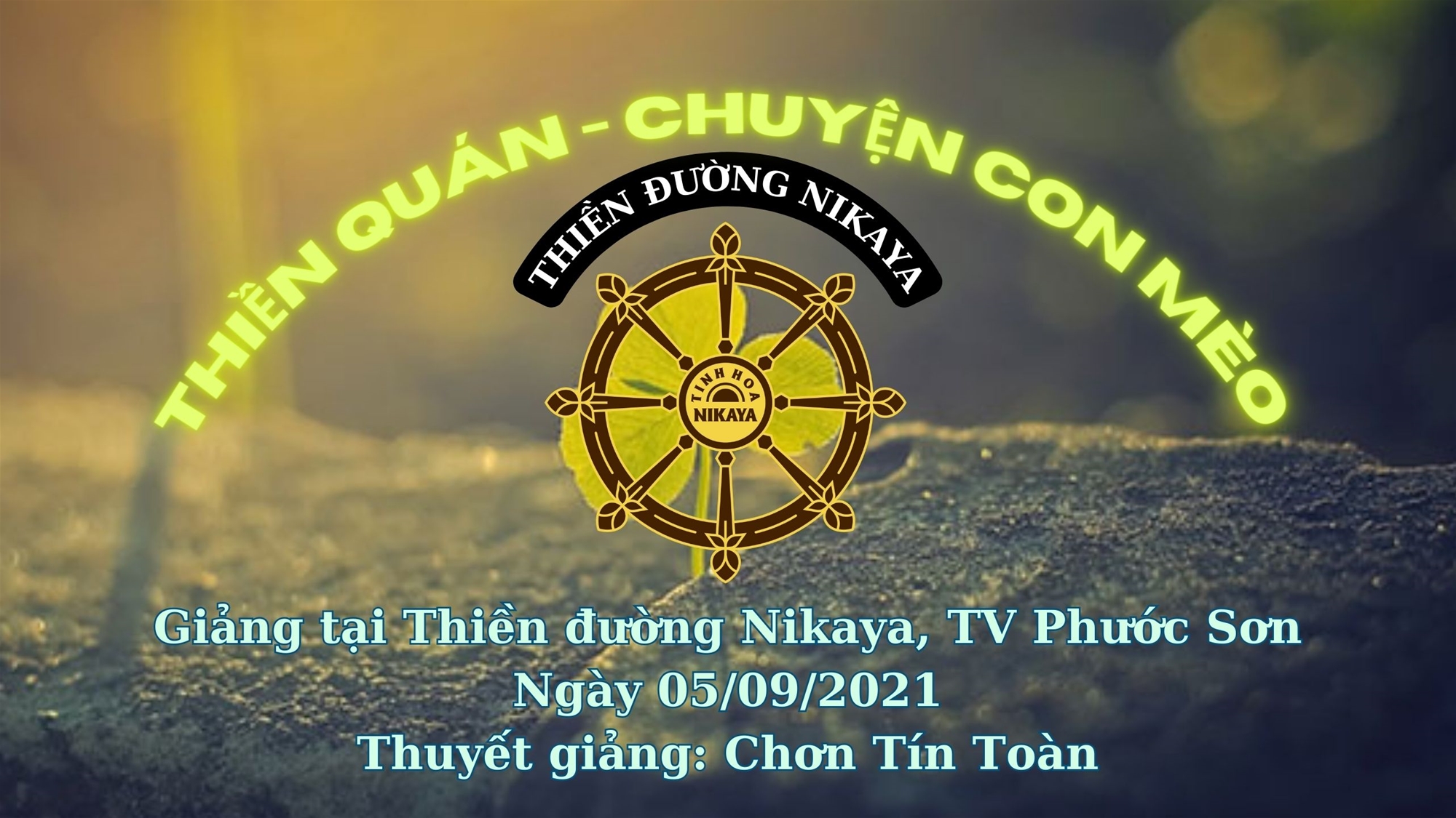 91_ THIỀN QUÁN - CHUYỆN CON MÈO_ CHƠN TÍN TOÀN