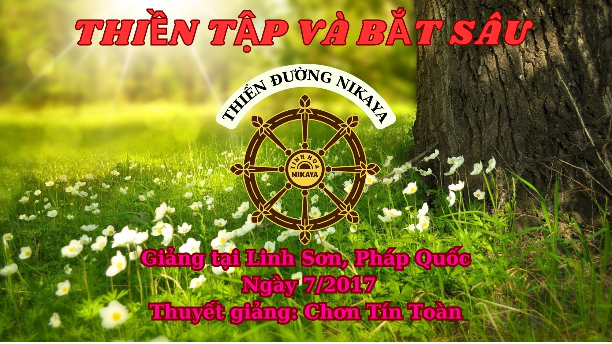 95_ THIỀN TẬP VÀ BẮT SÂU_ CHƠN TÍN TOÀN