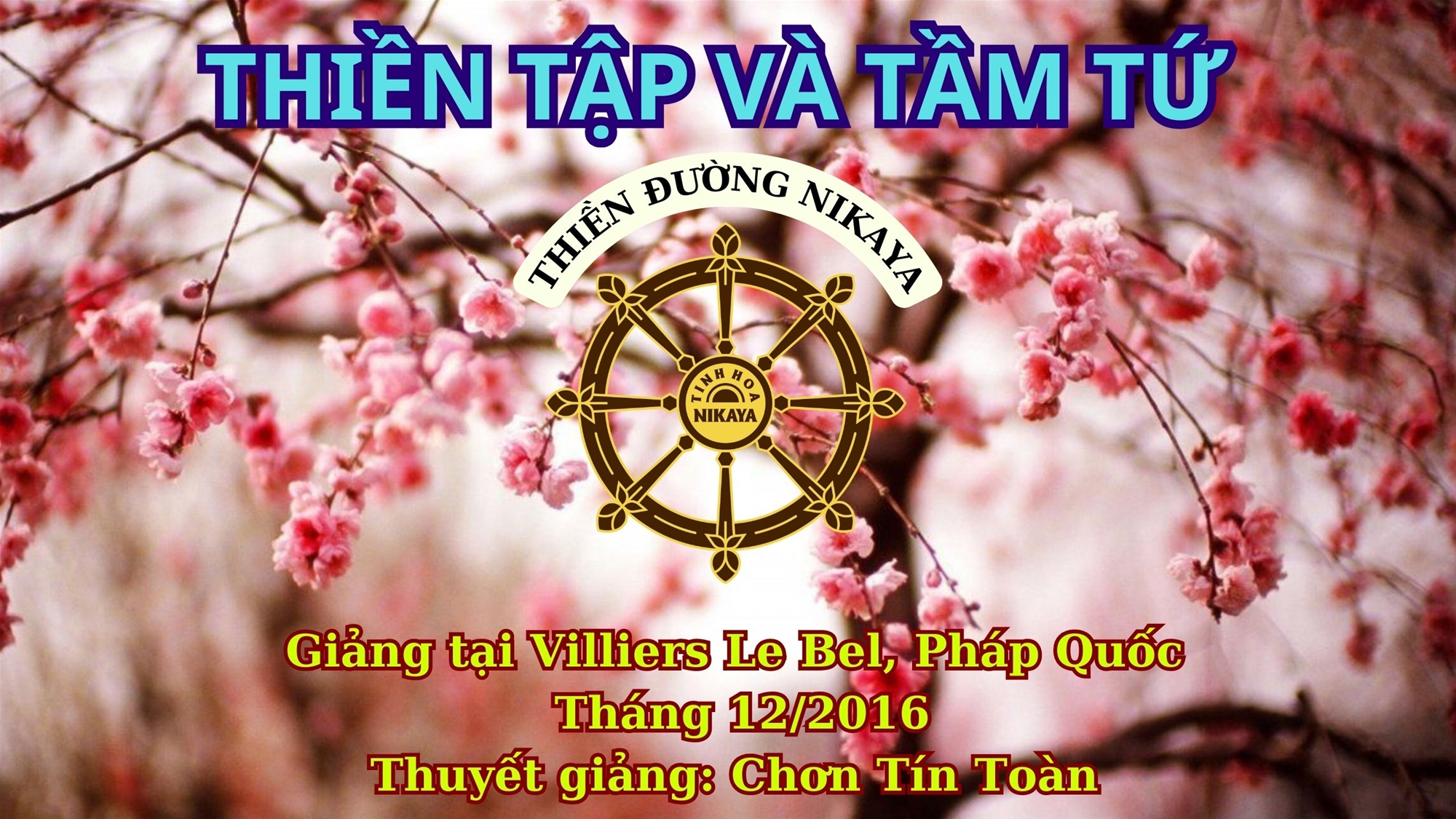96_ THIỀN TẬP VÀ TẦM TỨ_ CHƠN TÍN TOÀN