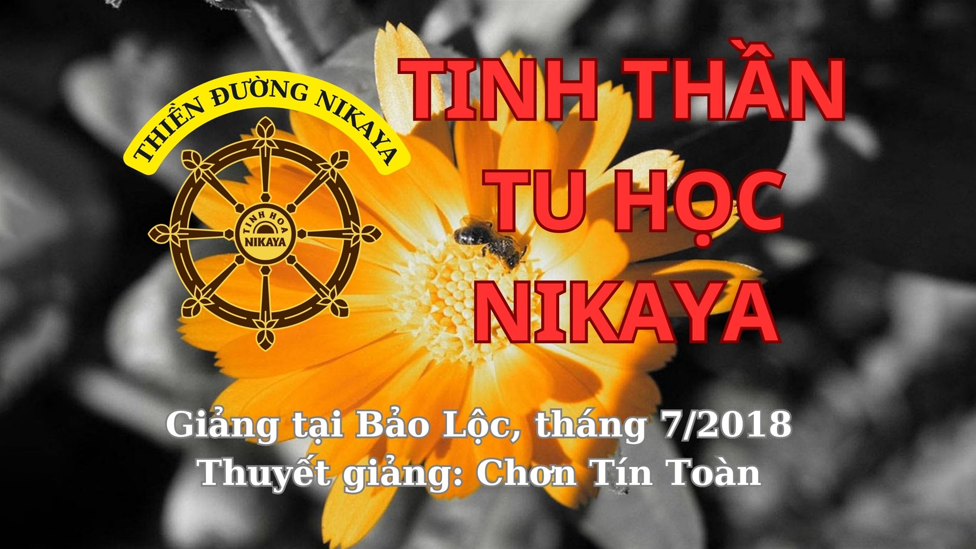 155_ TINH THẦN TU HỌC NIKAYA_ CHƠN TÍN TOÀN