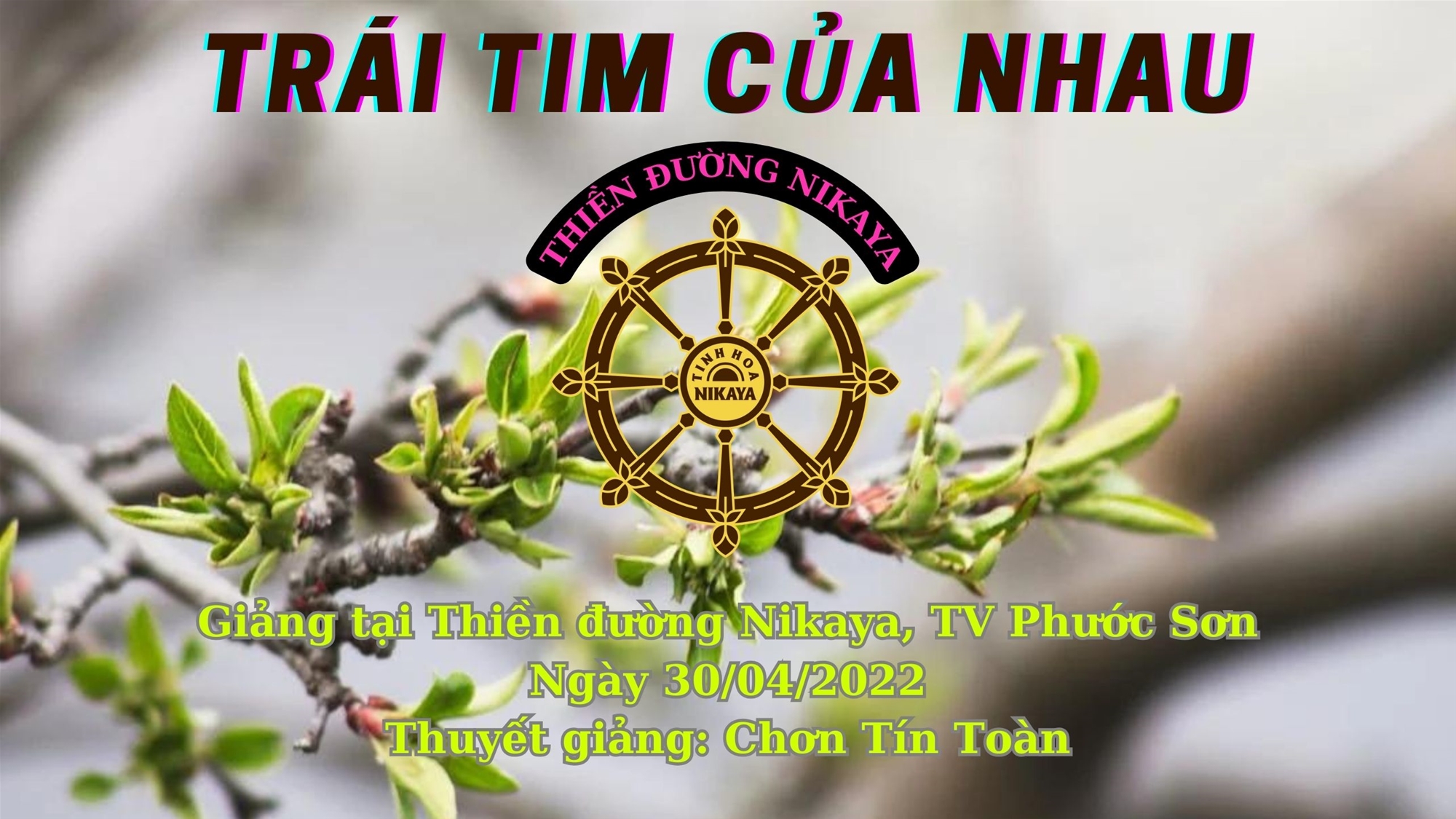 196_ TRÁI TIM CỦA NHAU_ CHƠN TÍN TOÀN