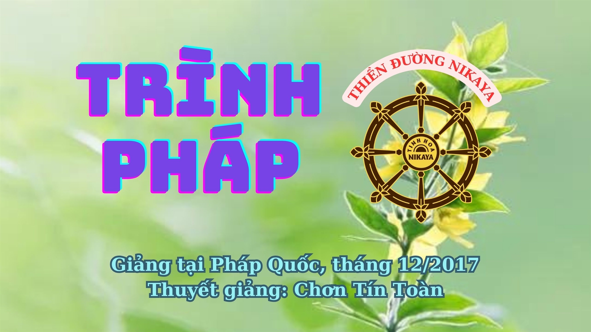 217_ TRÌNH PHÁP_ CHƠN TÍN TOÀN