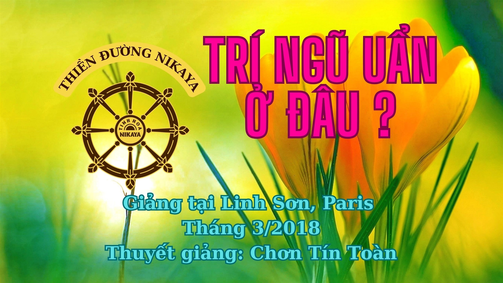 30_ TRÍ NGŨ UẨN Ở ĐÂU_ CHƠN TÍN TOÀN