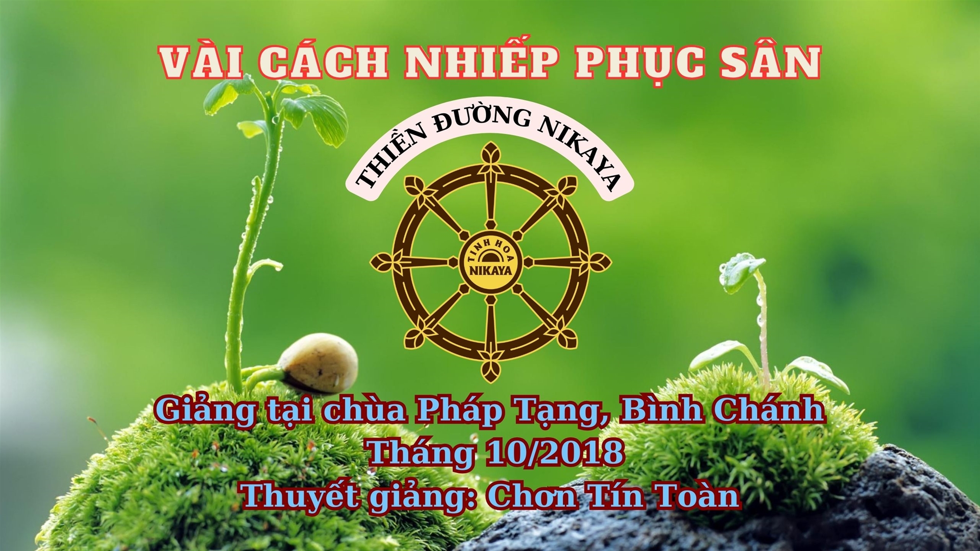 61_ VÀI CÁCH NHIẾP PHỤC SÂN_ CHƠN TÍN TOÀN