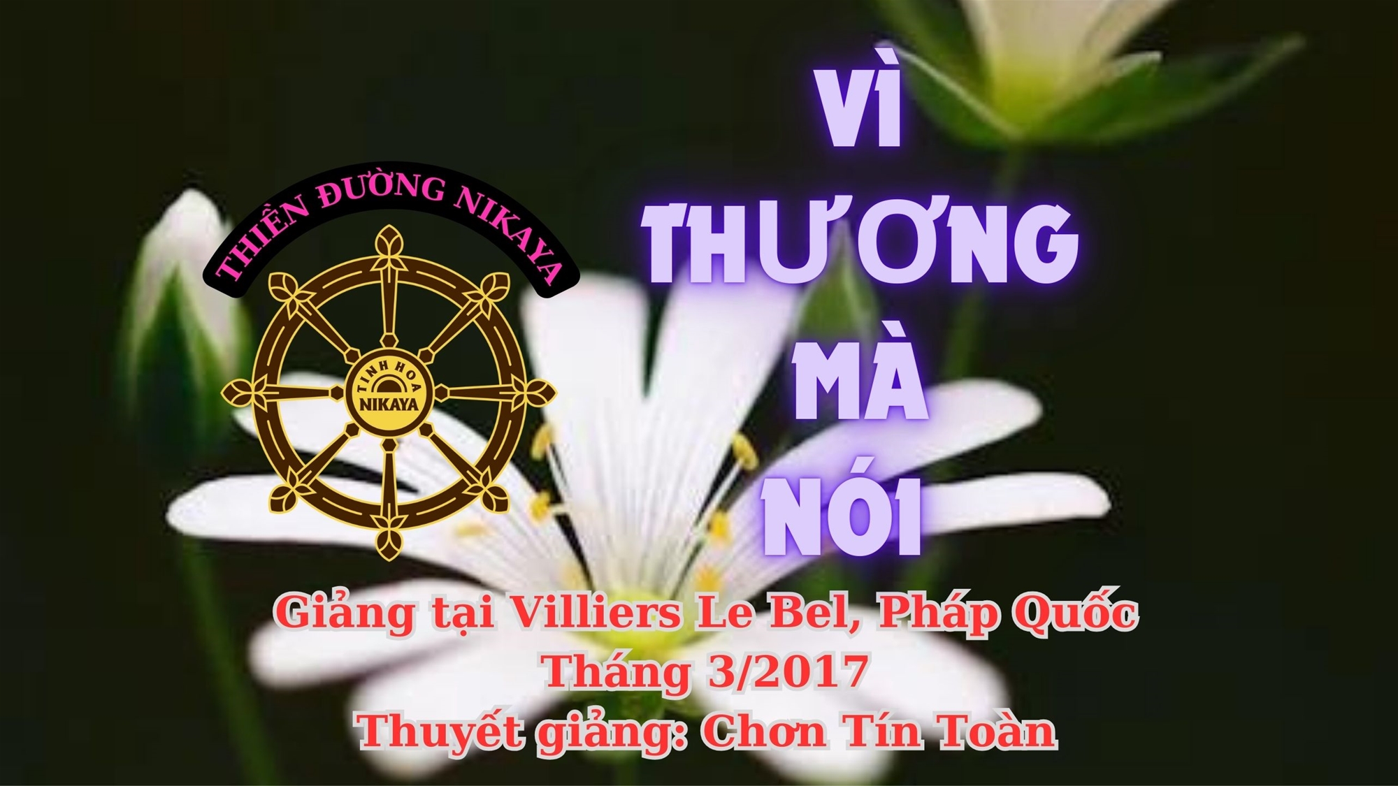 198_ VÌ THƯƠNG MÀ NÓI_ CHƠN TÍN TOÀN