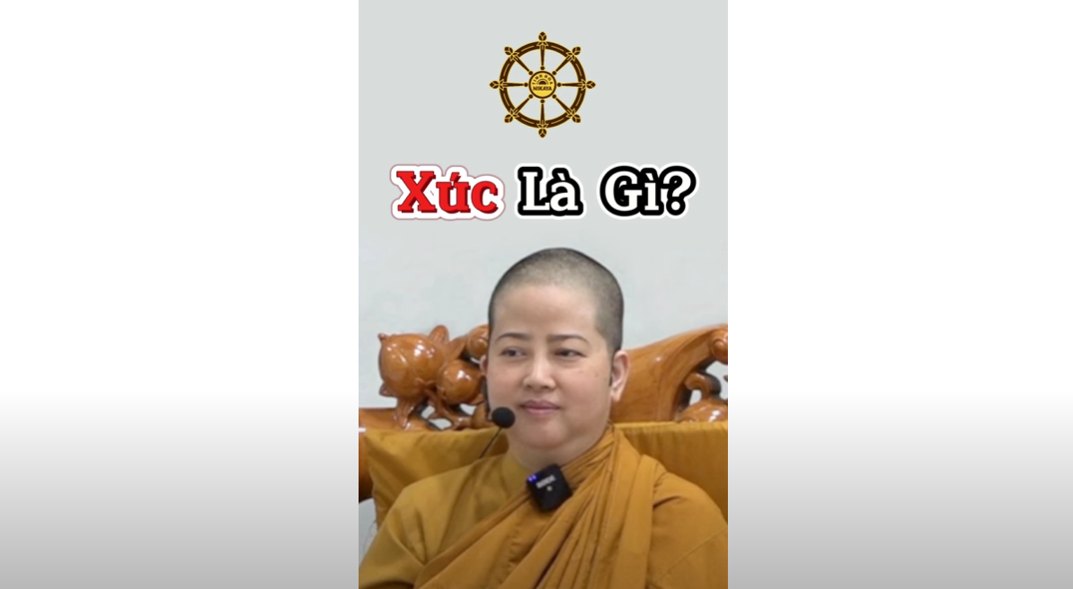 XÚC LÀ GÌ?_ CHƠN TÍN TOÀN