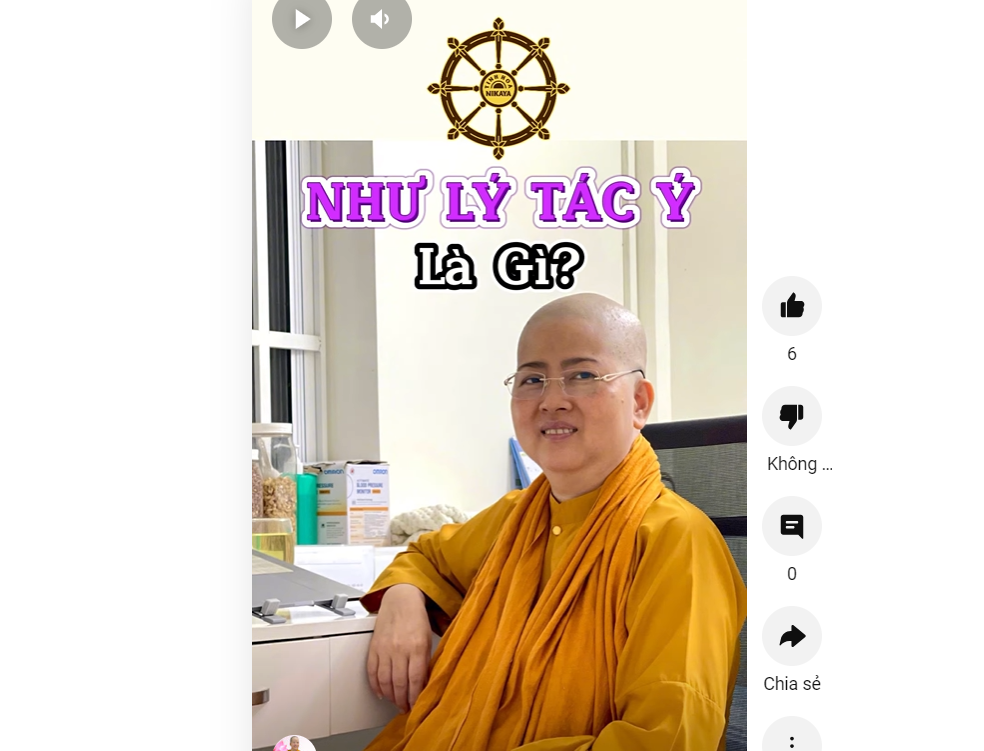 NHƯ LÝ TÁC Ý_ CHƠN TÍN TOÀN
