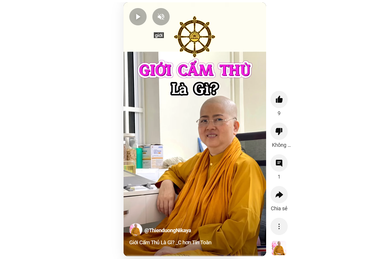 GIỚI CẤM THỦ LÀ GÌ?_ CHƠN TÍN TOÀN