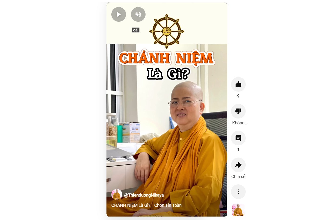 CHÁNH NIỆM LÀ GÌ?_ CHƠN TÍN TOÀN