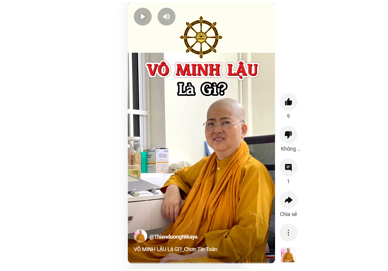 VÔ MINH LẬU LÀ GÌ?_ CHƠN TÍN TOÀN