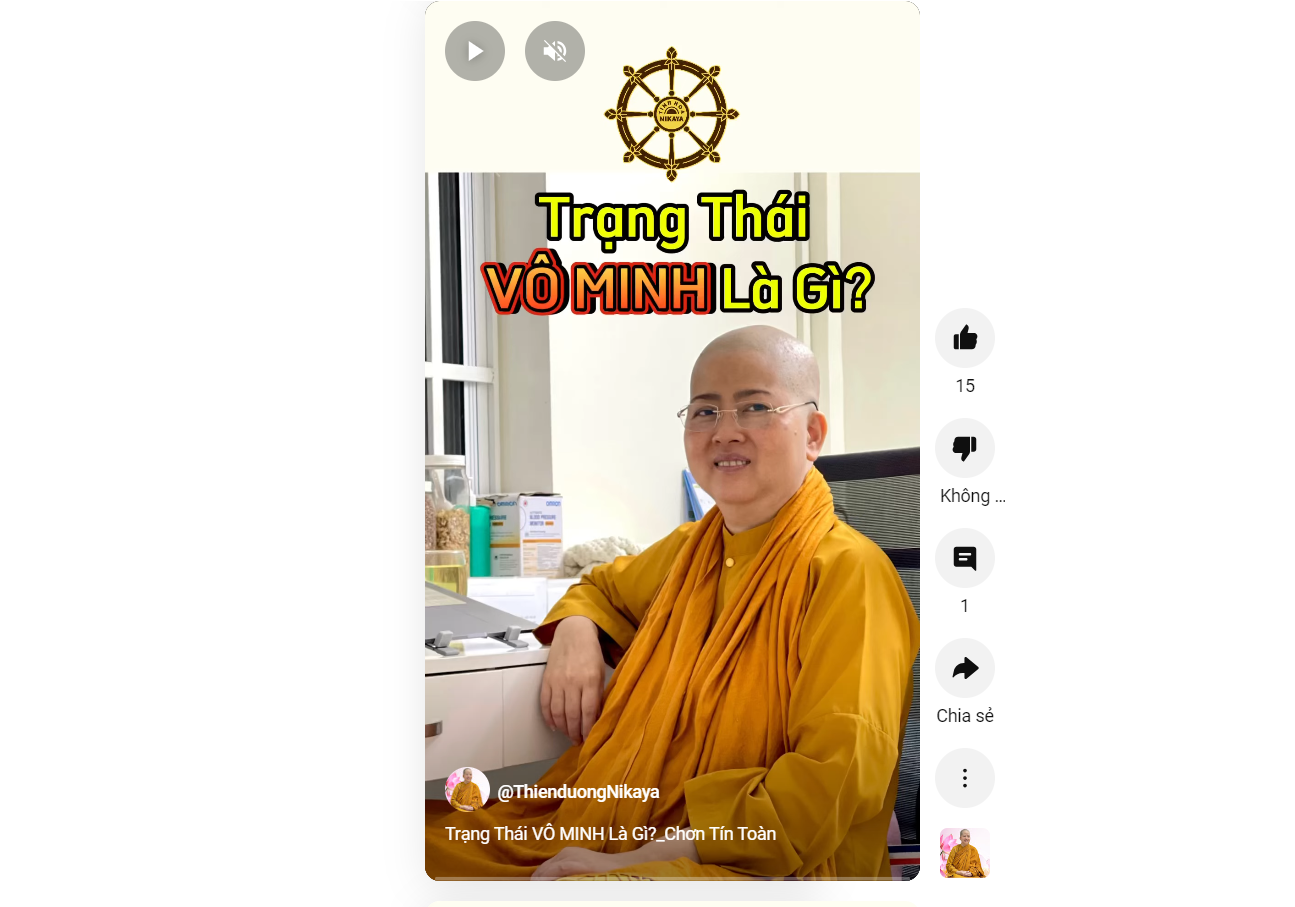 TRẠNG THÁI VÔ MINH LÀ GÌ?_ CHƠN TÍN TOÀN