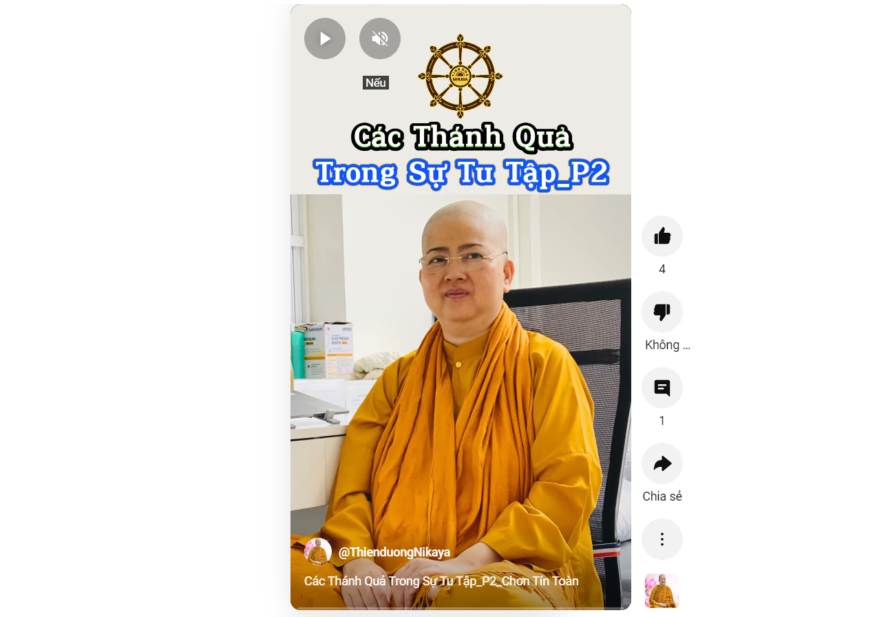 CÁC THÁNH QUẢ TRONG SỰ TU TẬP P.2_ CHƠN TÍN TOÀN