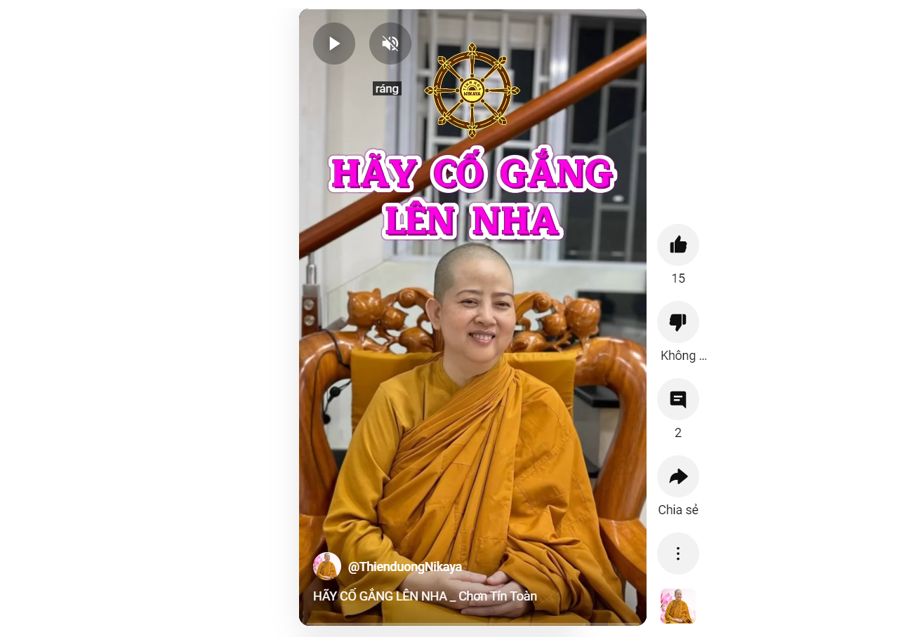HÃY CỐ GẮNG LÊN NHA_ CHƠN TÍN TOÀN