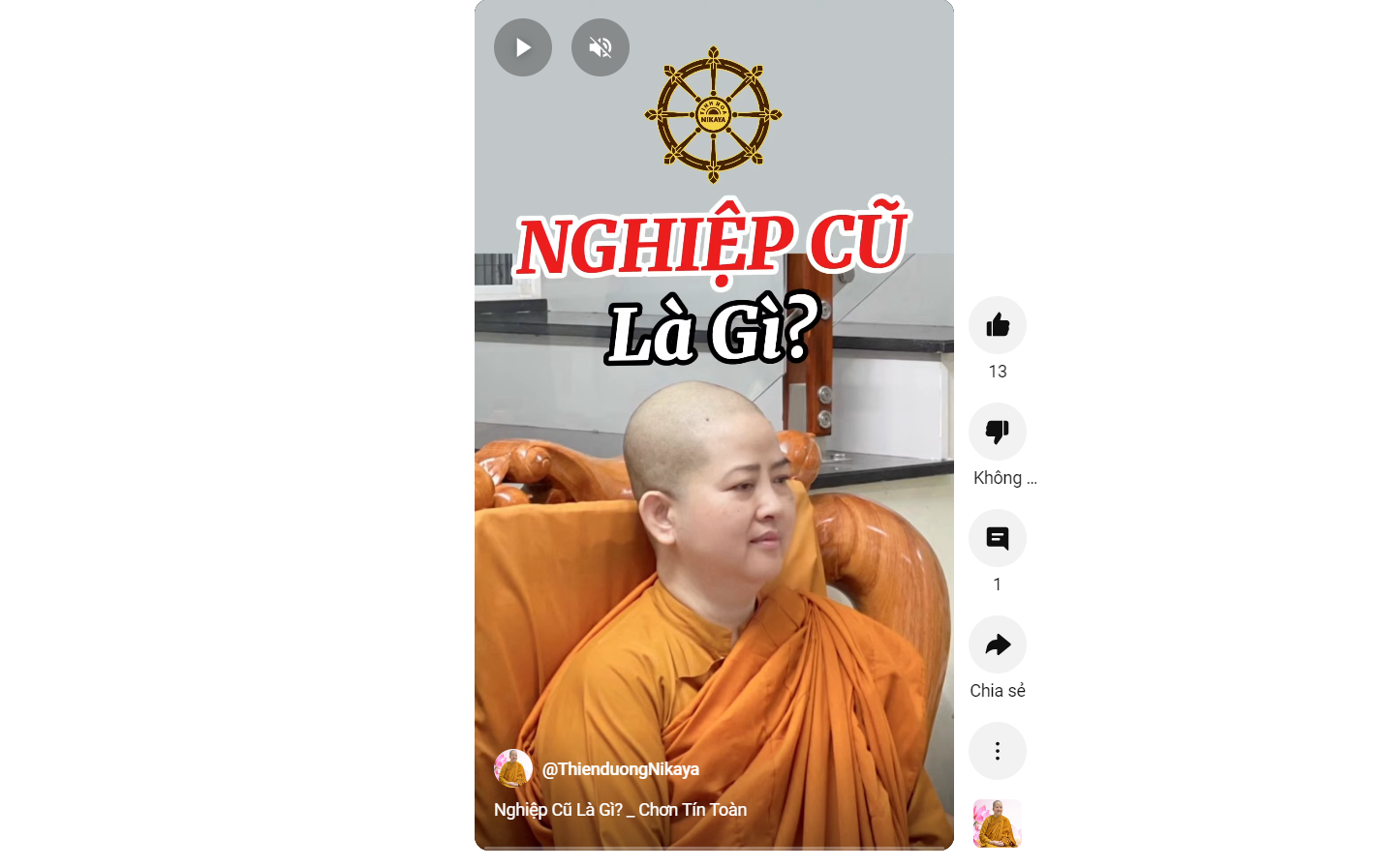 NGHIỆP CŨ LÀ GÌ?_ CHƠN TÍN TOÀN