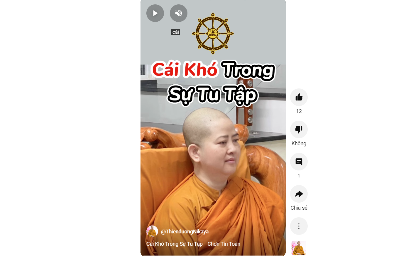 CÁI KHÓ TRONG SỰ TU TẬP_ CHƠN TÍN TOÀN