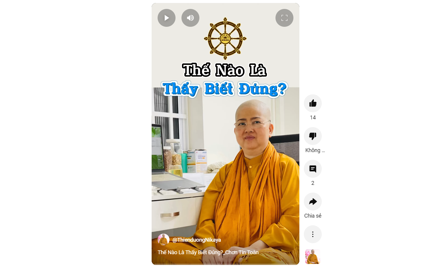 THẾ NÀO LÀ THẤY BIẾT ĐÚNG_ CHƠN TÍN TOÀN