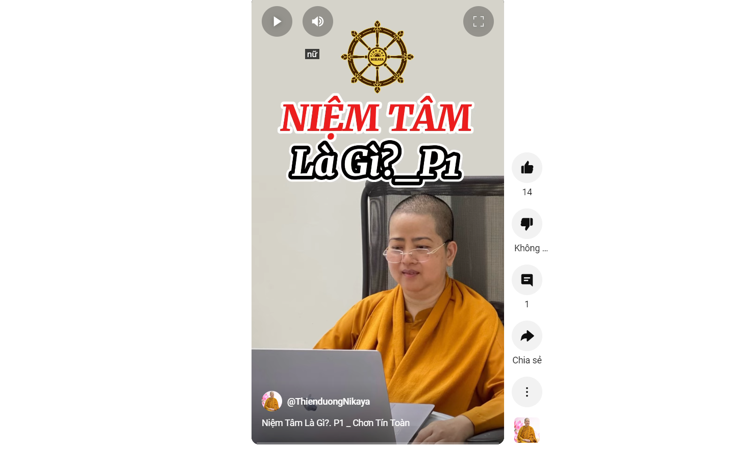 NIỆM TÂM LÀ GÌ? P.1_ CHƠN TÍN TOÀN