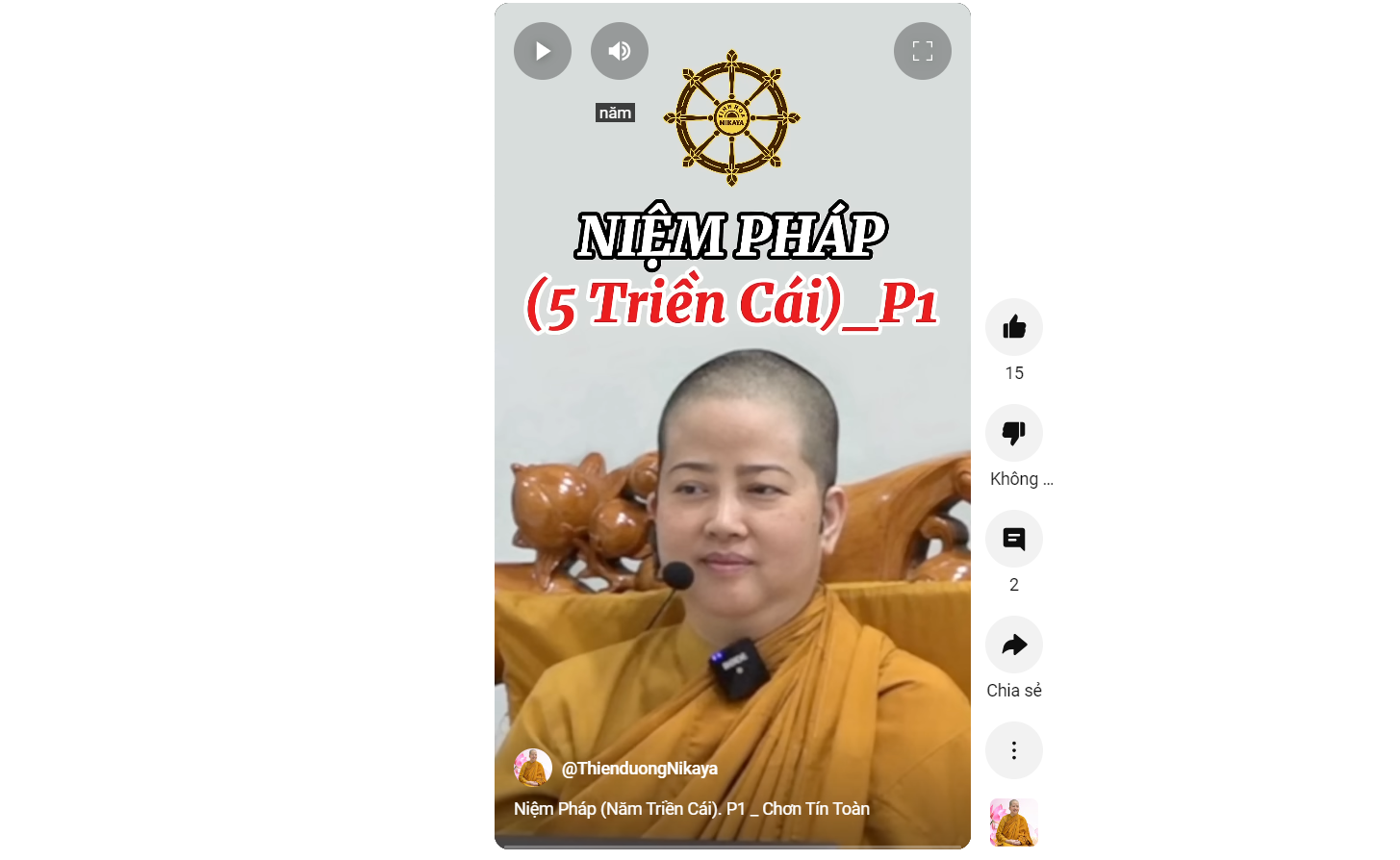 NIỆM PHÁP ( NĂM TRIỀN CÁI) P.1_  CHƠN TÍN TOÀN
