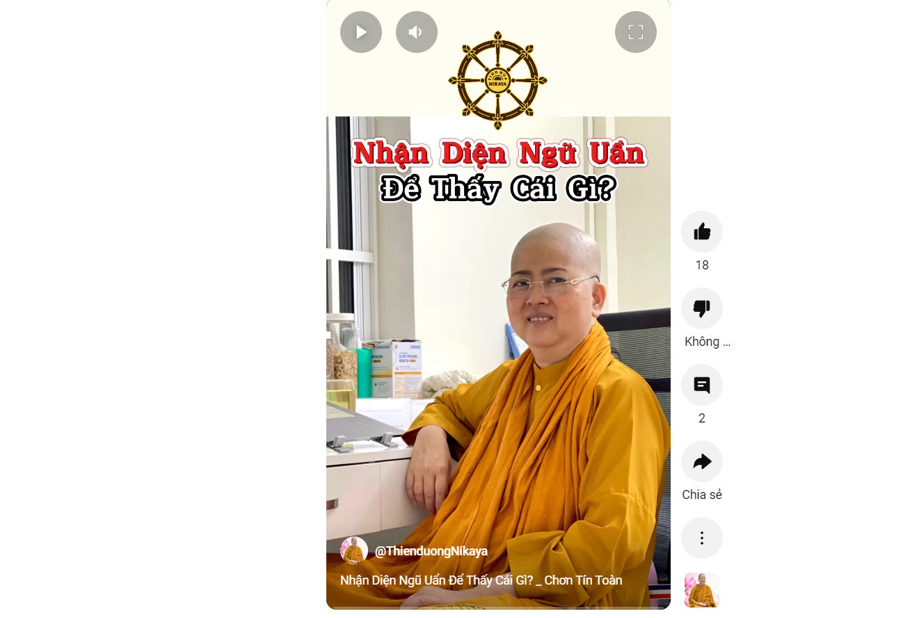 NHẬN DIỆN NGŨ UẨN ĐỂ THẤY CÁI GÌ?_ CHƠN TÍN TOÀN