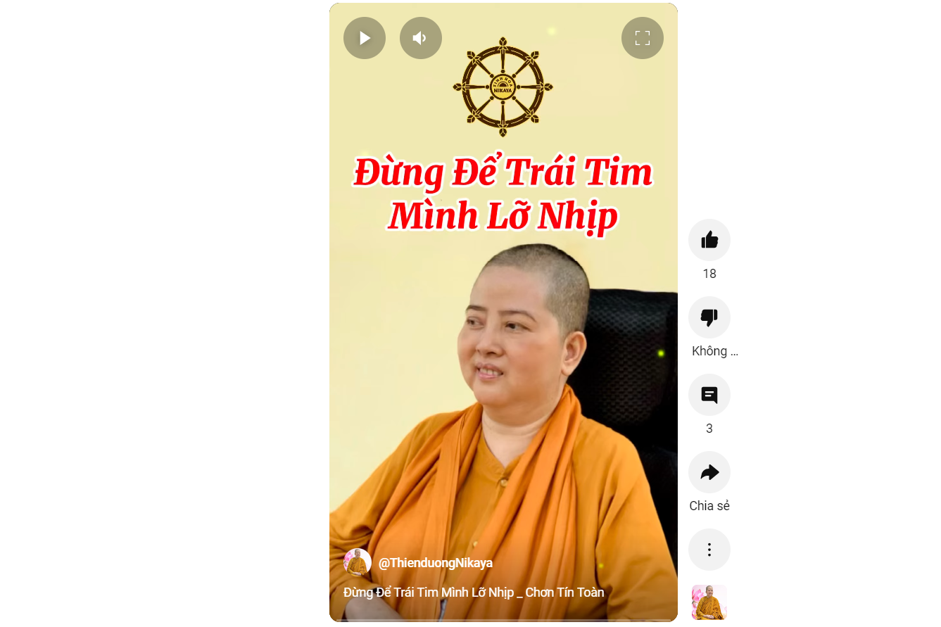 ĐỪNG ĐỂ TRÁI TIM MÌNH LỠ NHỊP_ CHƠN TÍN TOÀN