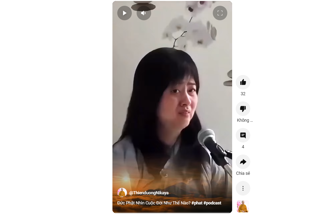 ĐỨC PHẬT NHÌN THẤY CUỘC ĐỜI NHƯ THẾ NÀO?_ CHƠN TÍN TOÀN