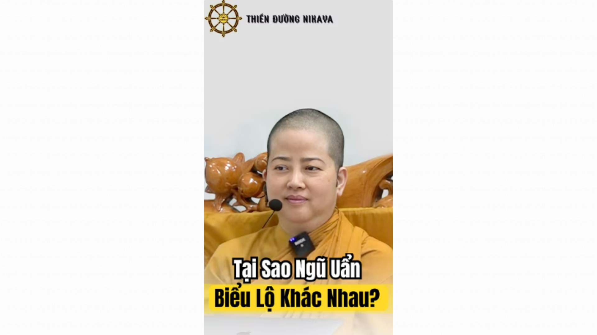 TẠI SAO NGŨ UẨN BIỂU LỘ KHÁC NHAU?  _ CHƠN TÍN TOÀN