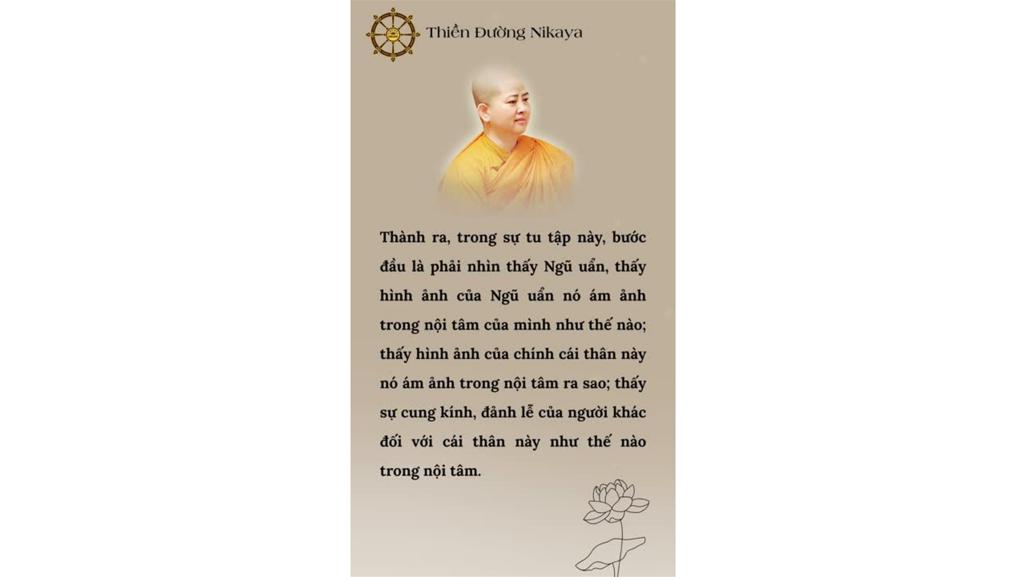 HÃY QUÁN CHIẾU CHO RÕ THÂN NÀY! _ CHƠN TÍN TOÀN