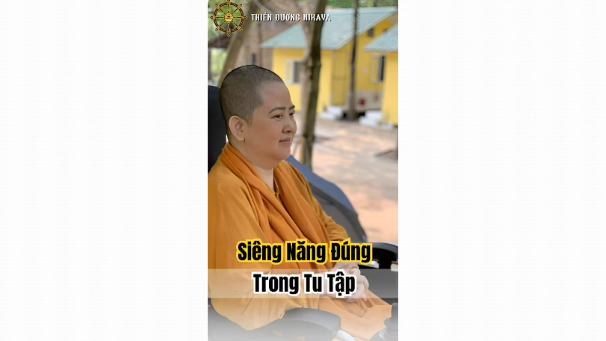 THẾ NÀO LÀ SIÊNG NĂNG ĐÚNG TRONG TU TẬP? _ CHƠN TÍN TOÀN