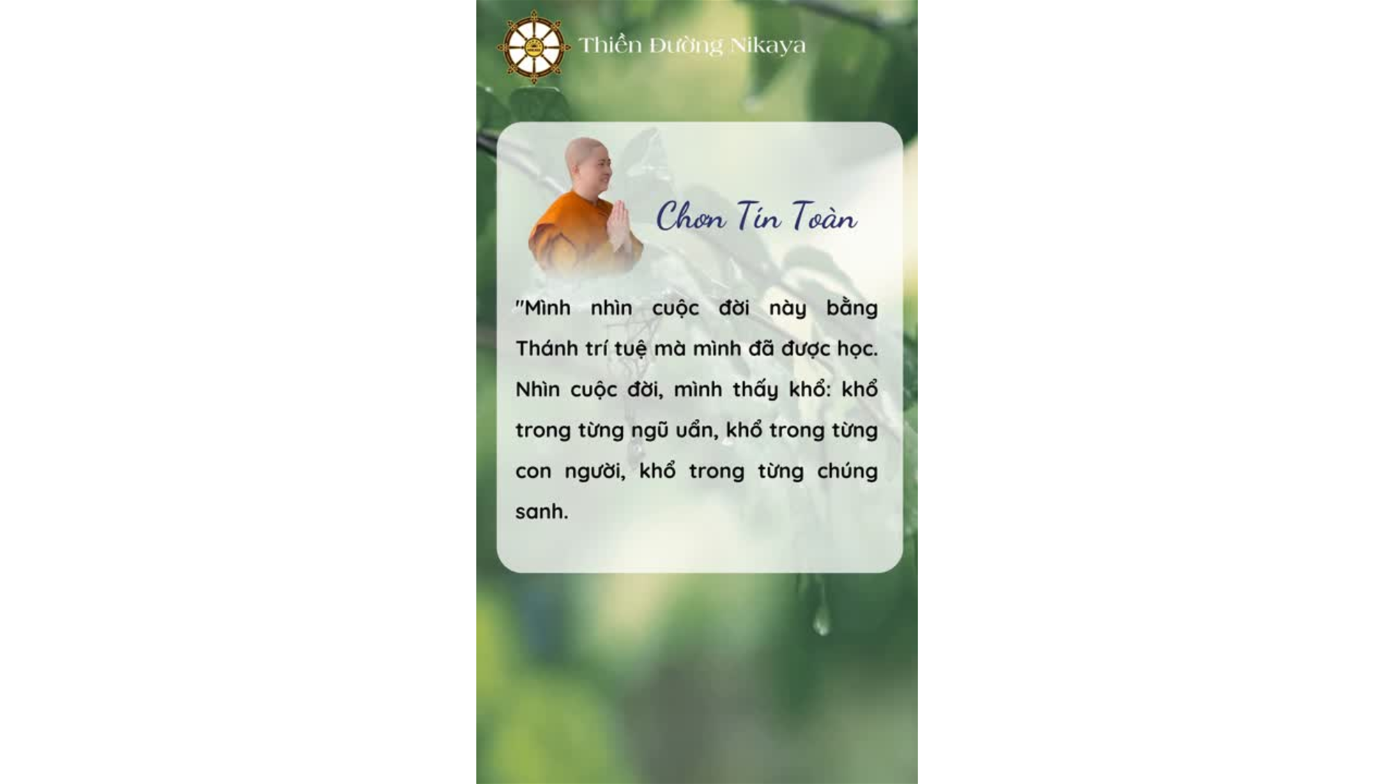 TRONG MỖI CON NGƯỜI LÀ VÔ VÀN KHỔ ĐAU _ CHƠN TÍN TOÀN