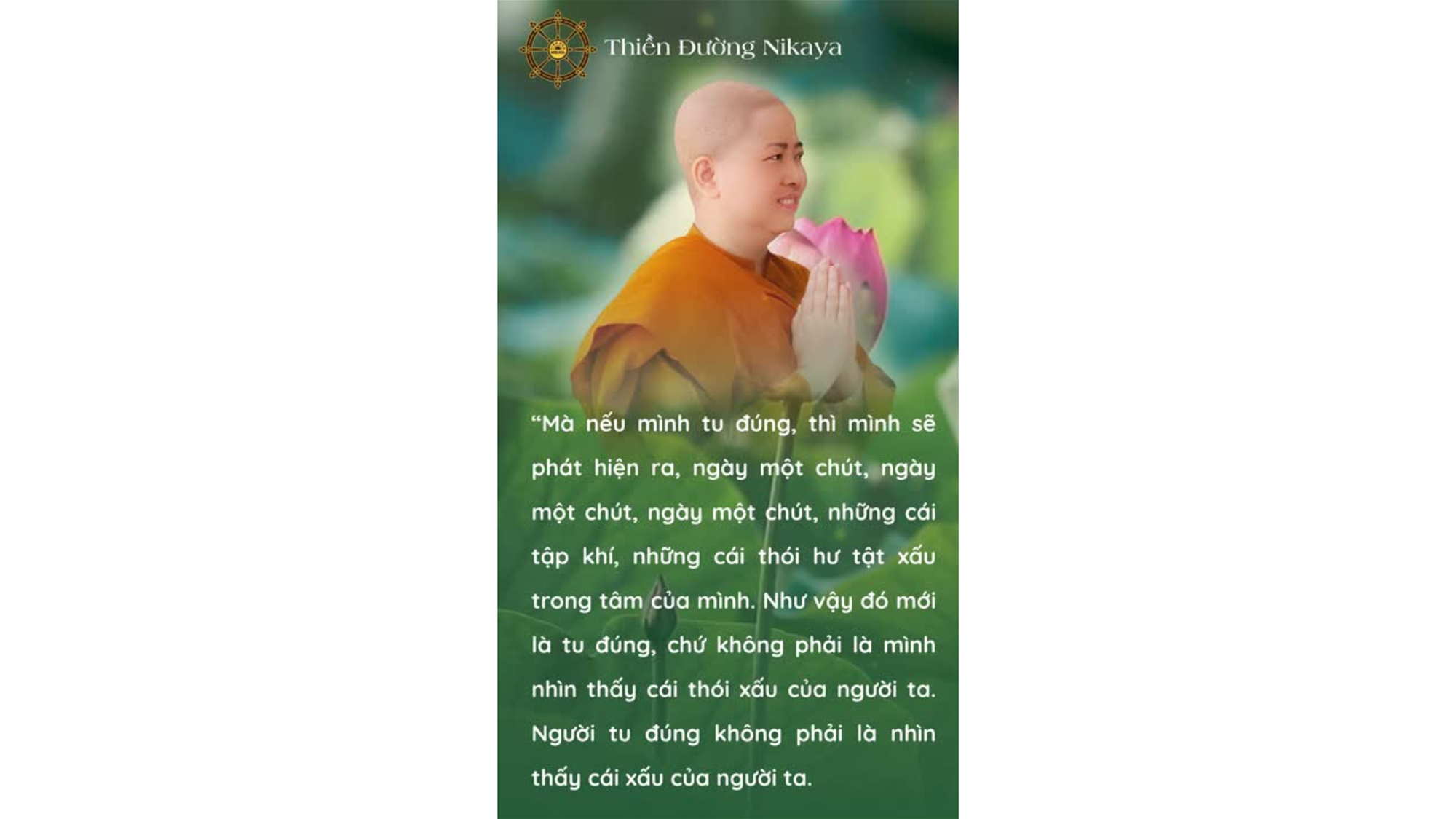 CÀNG TU ĐÚNG CÀNG THÔNG CẢM NHIỀU HƠN _ CHƠN TÍN TOÀN