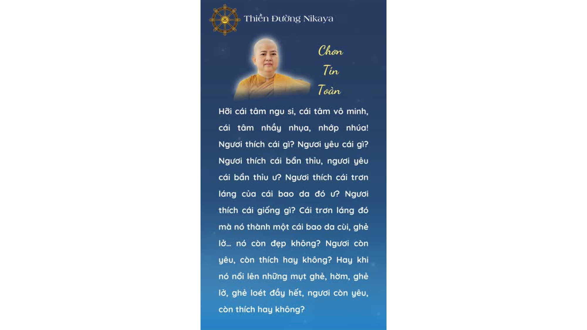 HỠI CÁI TÂM MÊ...NGƯƠI ĐANG MÊ ĐẮM GÌ VẬY? _ CHƠN TÍN TOÀN