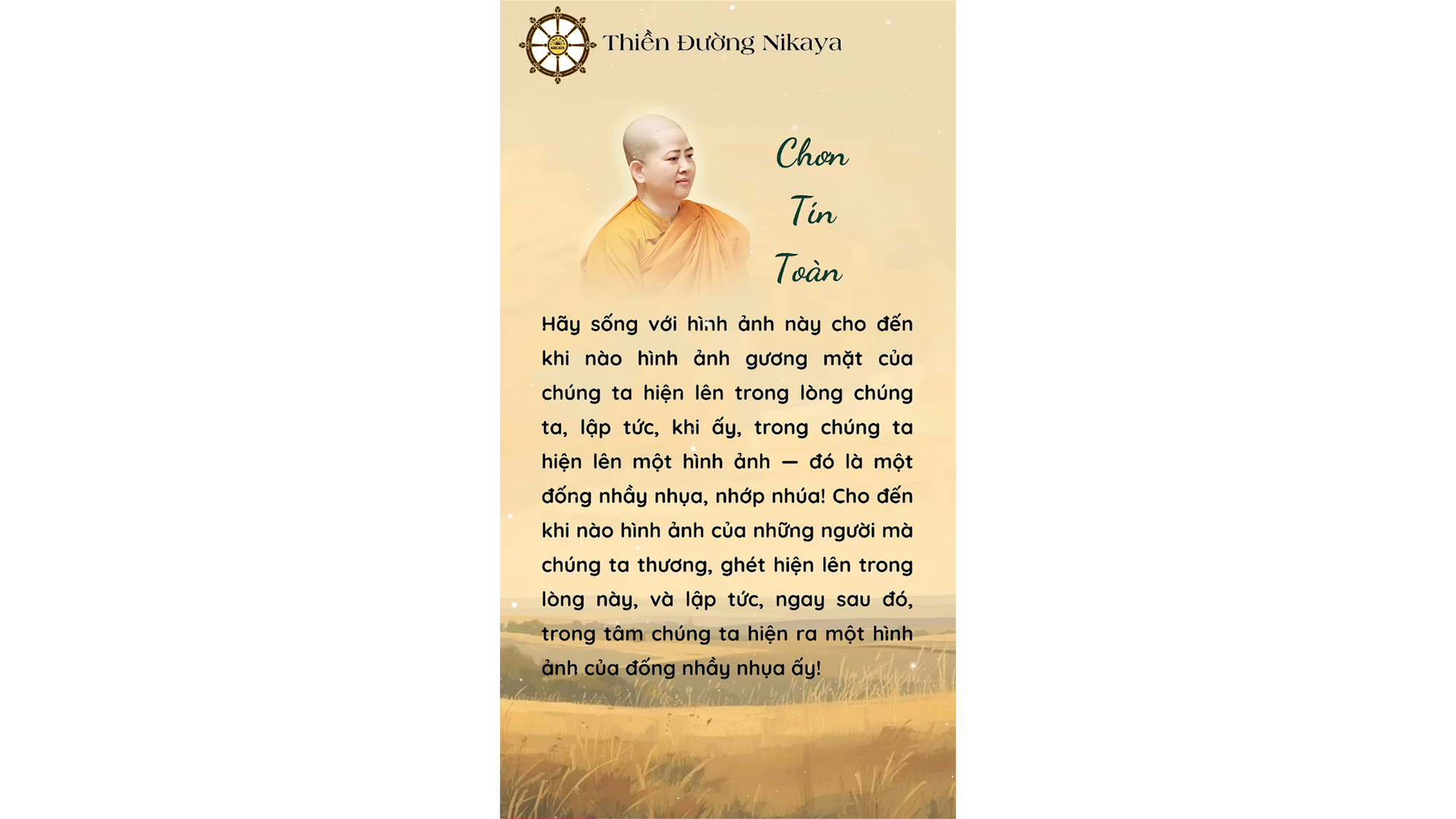 NHÌN THẬT KỸ CÁI ĐỐNG NHẦY NHỤA MÀ TA THƯƠNG! _ CHƠN TÍN TOÀN