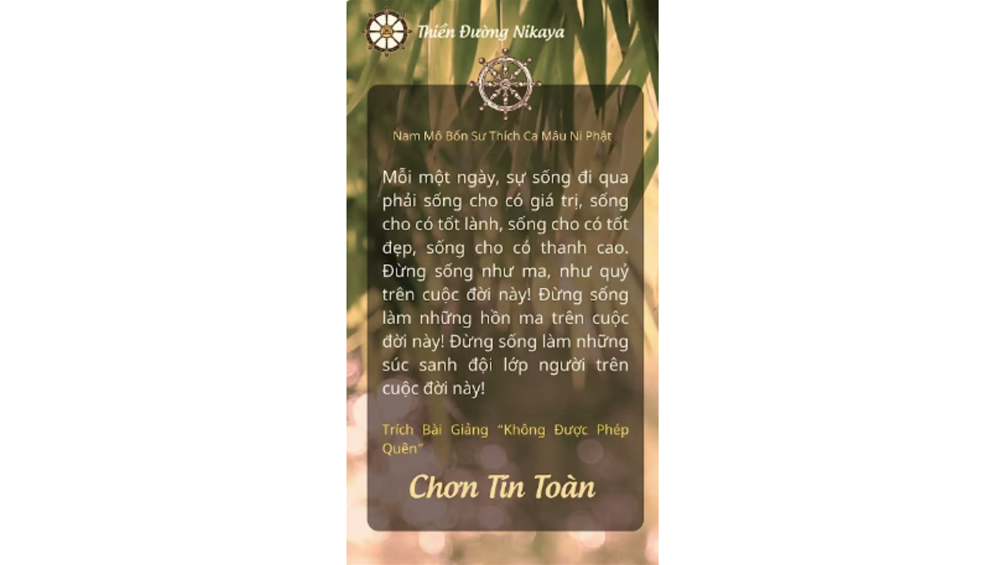 SỐNG THẾ NÀO CHO Ý NGHĨA? _ CHƠN TÍN TOÀN