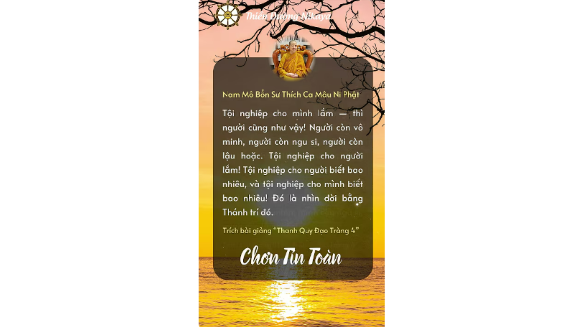 XIN THƯƠNG NHAU BẰNG TRÍ TUỆ _ CHƠN TÍN TOÀN