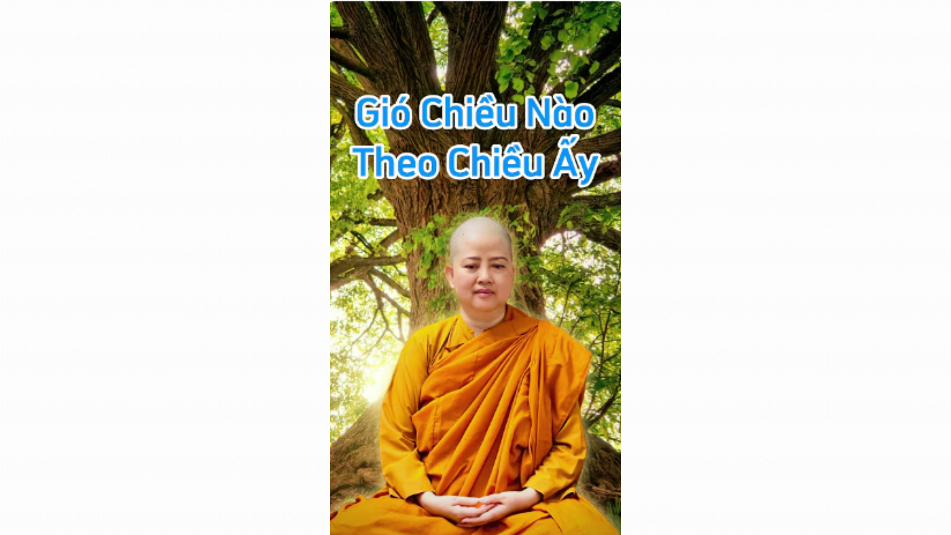 GIÓ CHIỀU NÀO THEO CHIỀU ẤY _ CHƠN TÍN TOÀN